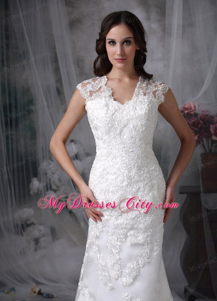 Column V-neck Brush Train Lace Sheer Back Wedding Dress