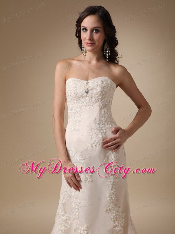 Romantic Champagne Column Sweetheart Garden Wedding Dresses