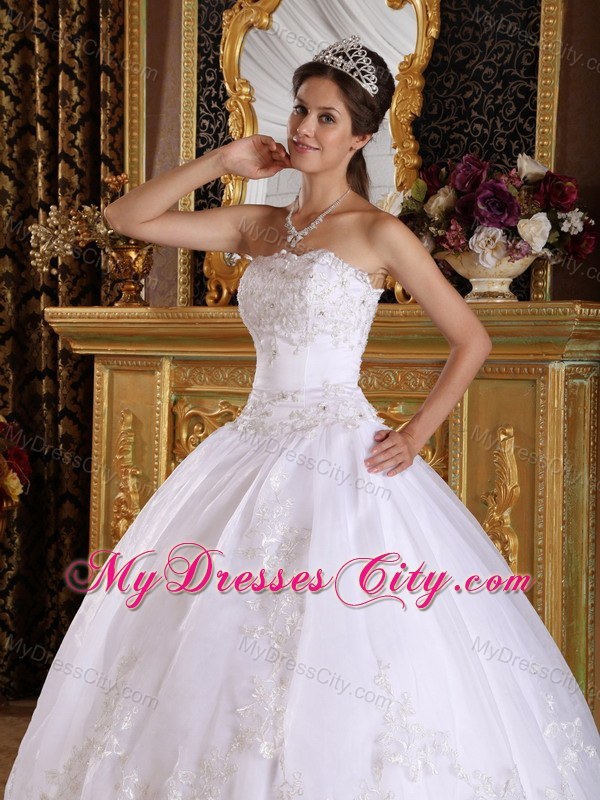 Corset Embroidery with Beading Puffy Quinceanera Dress