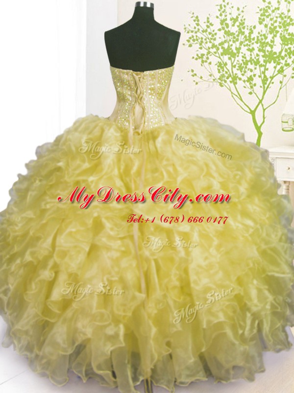 Fantastic Sweetheart Sleeveless Organza Quinceanera Gowns Beading and Ruffles and Pick Ups Lace Up