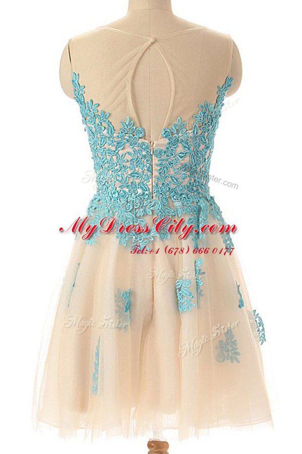 Best Selling Champagne Sleeveless Tulle Zipper Prom Evening Gown for Prom and Party