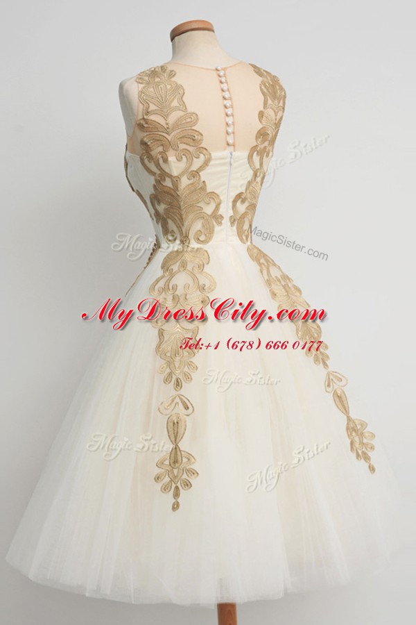 Graceful Knee Length Champagne Tulle Sleeveless Lace