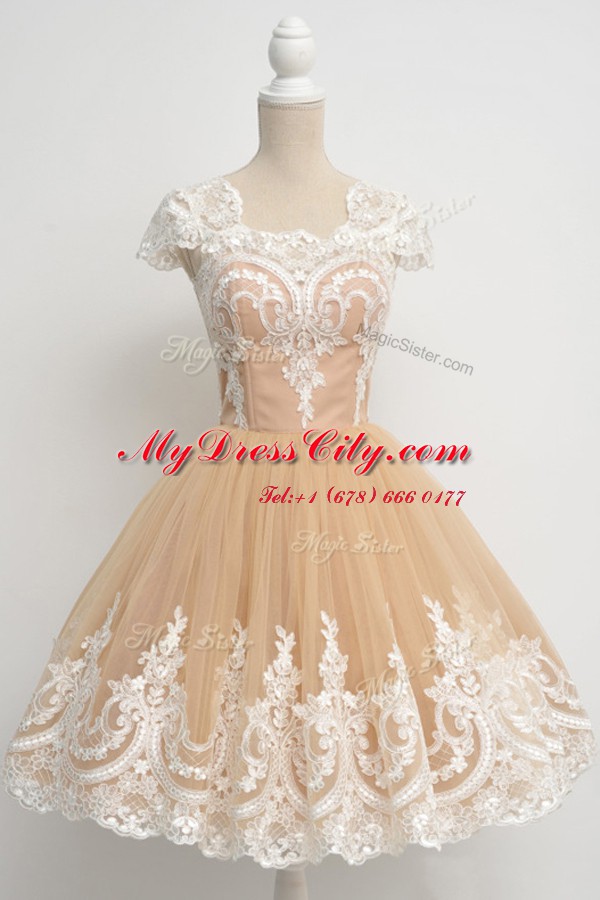 Scoop Cap Sleeves Tulle Dress for Prom Lace Zipper