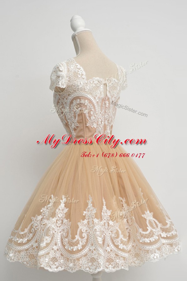 Scoop Cap Sleeves Tulle Dress for Prom Lace Zipper