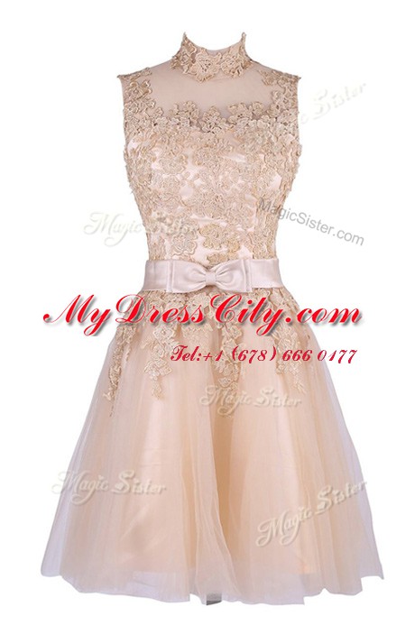 Enchanting Tulle Sleeveless Knee Length Prom Gown and Appliques