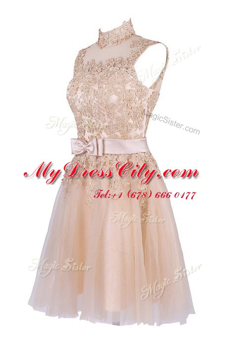 Enchanting Tulle Sleeveless Knee Length Prom Gown and Appliques