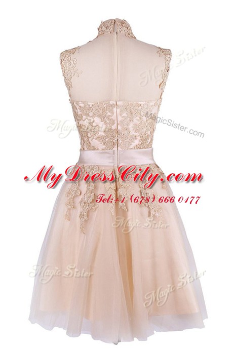 Enchanting Tulle Sleeveless Knee Length Prom Gown and Appliques