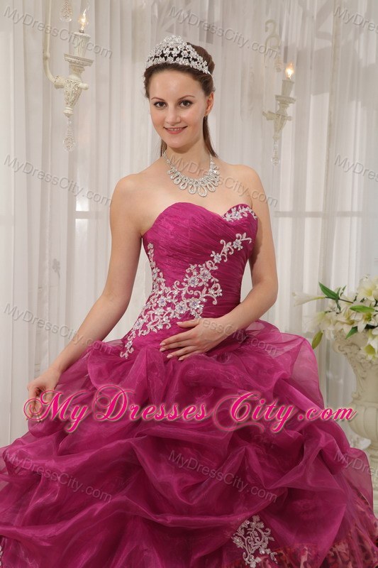 Burgundy Sweetheart Leopard Appliques Quinceanera Dress 2013