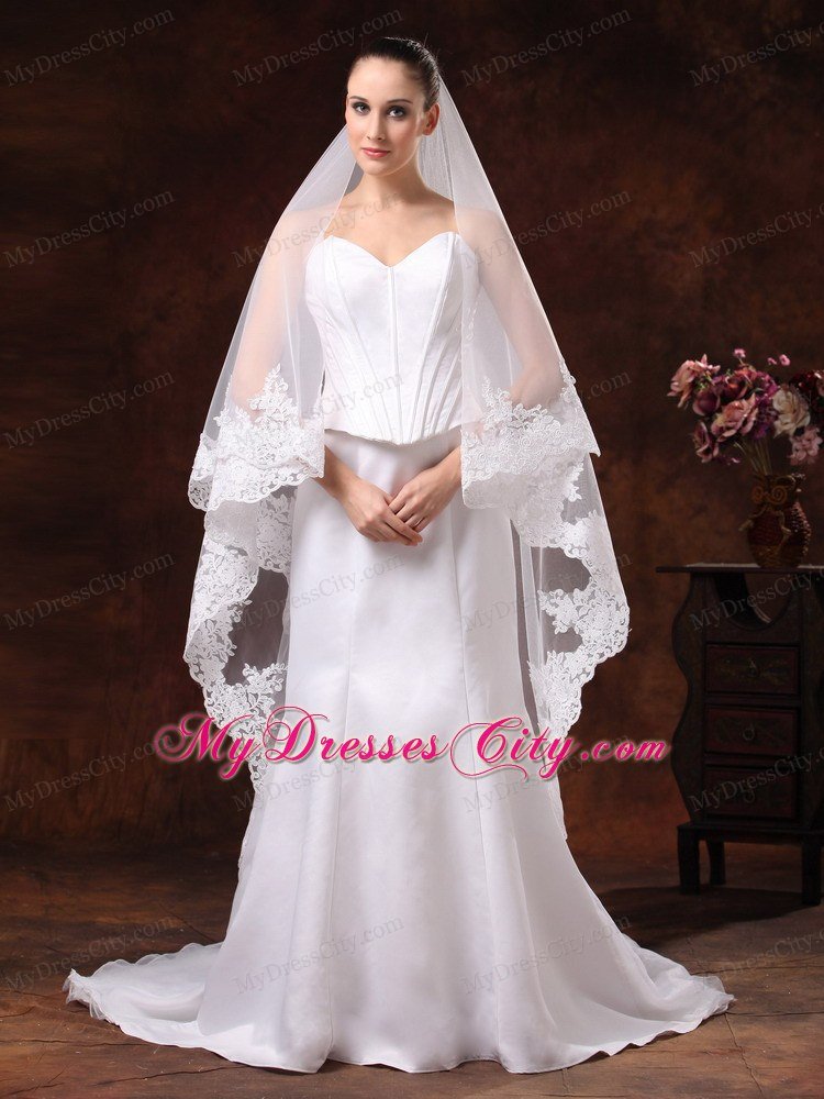 Tulle With Lace Applique Edge Graceful Wedding Veil