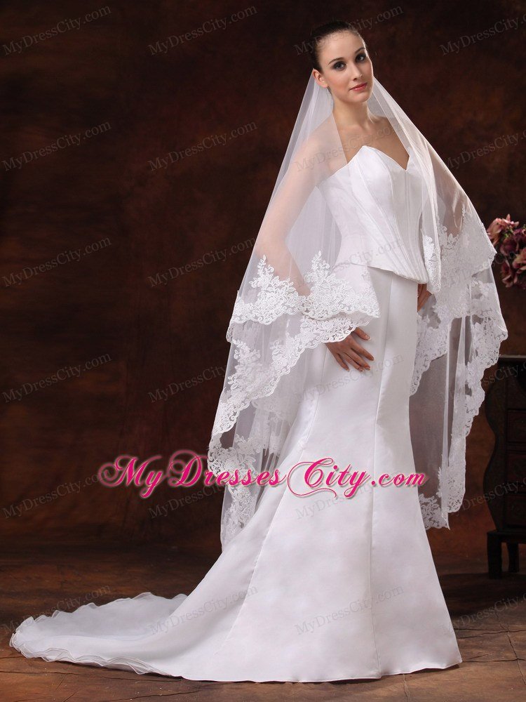 Tulle With Lace Applique Edge Graceful Wedding Veil