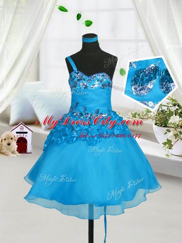 Baby Blue Sleeveless Organza Lace Up Kids Formal Wear for Party and Wedding Party