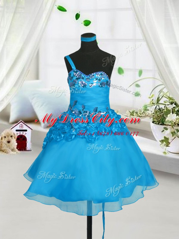 Baby Blue Sleeveless Organza Lace Up Kids Formal Wear for Party and Wedding Party