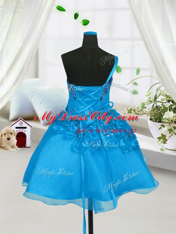 Baby Blue Sleeveless Organza Lace Up Kids Formal Wear for Party and Wedding Party