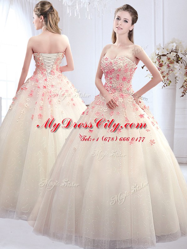 Sleeveless Lace Up Floor Length Appliques Wedding Gowns