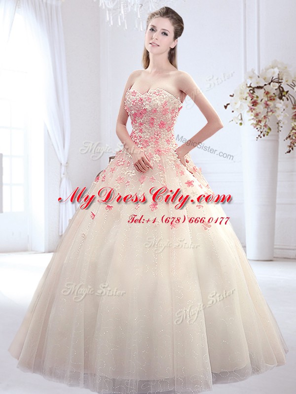 Sleeveless Lace Up Floor Length Appliques Wedding Gowns