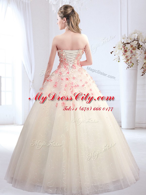 Sleeveless Lace Up Floor Length Appliques Wedding Gowns