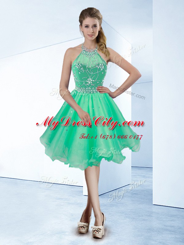 Halter Top Sleeveless Organza Homecoming Dress Beading Zipper