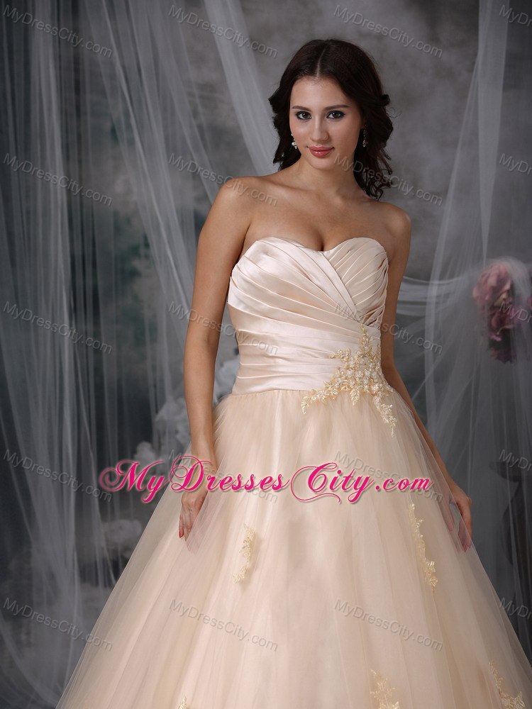 Champagne Princess Sweetheart Brush Train Embroidery Wedding Dress